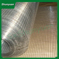 Galvanizado / PVC revestido soldado malha de arame (Anping Factory, ISO 9001)